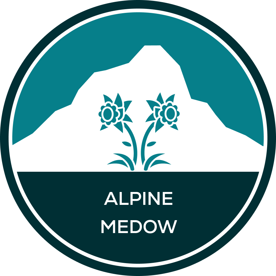 Alpine Meadow