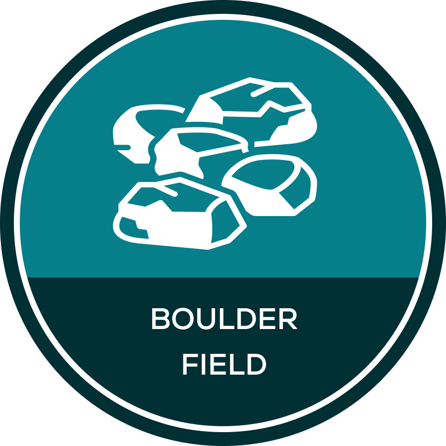 Boulder Field